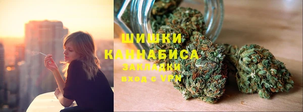 дживик Новозыбков