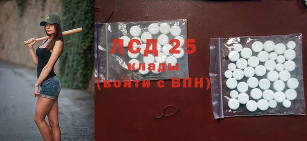 дживик Новозыбков
