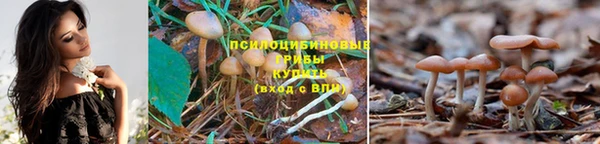 MESCALINE Новодвинск