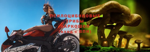 дживик Новозыбков