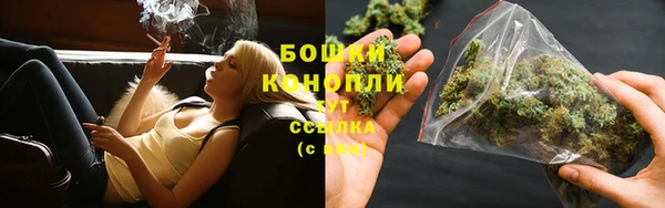 дживик Новозыбков