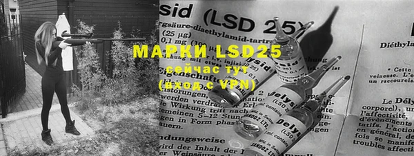 MESCALINE Новодвинск