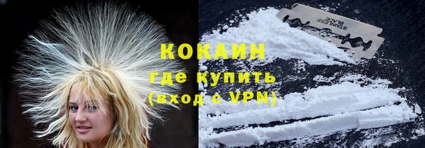 дживик Новозыбков