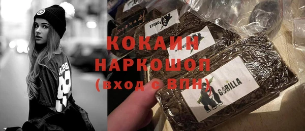 дживик Новозыбков