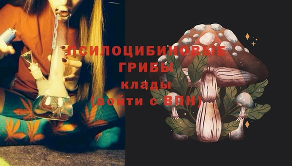 дживик Новозыбков