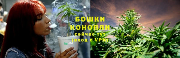 MESCALINE Новодвинск