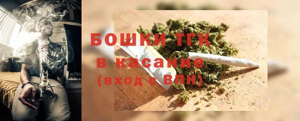 дживик Новозыбков