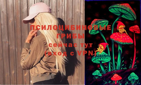 прущие крисы Новокубанск