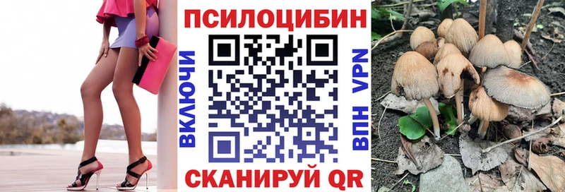 кракен ссылки Новопавловск Галлюциногенные грибы Magic Shrooms